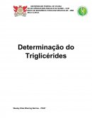 A Determinação do Triglicérides