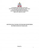 O SISTEMATIZAÇÃO DOS TEXTOS DOS SEMINÁRIOS DE PROCESSOS DE TRABALHO