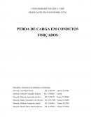 Relatório - Perda de carga em condutos forçados