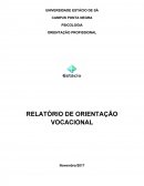 RELATÓRIO DE ORIENTAÇÃO VOCACIONAL