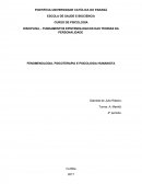 OS FUNDAMENTOS EPISTEMOLÓGICOS DAS TEORIAS DA PERSONALIDADE FENOMENOLOGIA, PSICOTERAPIA E PSICOLOGIA HUMANISTA