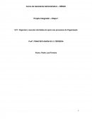 Organizar e Executar Atividades de Apoio aos Processos da Organização