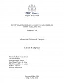 O Empuxo seria um componente vertical que age numa superfície submersa e que é igual ao peso do volume de fluido