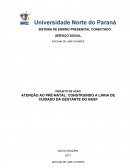 A LINHA DE CUIDADO DA GESTANTE DO NASF