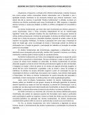 RESUMO DO TEXTO TEORIA DOS DIREITOS FUNDAMENTAIS