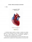 As Matrizes psicológicas da publicidade