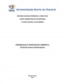 A URBANIZAÇÃO E DEGRADAÇÃO AMBIENTAL