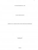 A IMPORTANCIA DA AUDITORIA EXTERNA COMO FATOR DE DECISÃO EMPRESARIAL