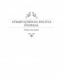 AS ATRIBUIÇÕES DA POLÍCIA FEDERAL