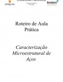 A Caracterização Microestrutural de Aços