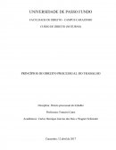 Os PRINCÍPIOS DO DIREITO PROCESSUAL DO TRABALHO