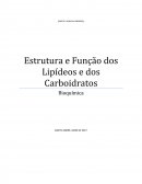 A Estrutura de Lipídeos e Carboidratos