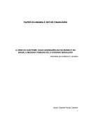 A CRISE DO SUB PRIME, SUAS CONSEQUÊNCIAS NO MUNDO E NO BRASIL E MEDIDAS TOMADAS PELO GOVERNO BRASILEIRO