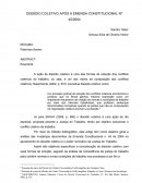 O DISSÍDIO COLETIVO APÓS A EMENDA CONSTITUCIONAL Nº 45/2004