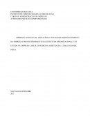 O AMBIENTE CONTEXTUAL, ESTRATÉGIA E ESTÁGIO DE DESENVOLVIMENTO DA EMPRESA COMO DETERMINANTES DA ESTRUTURA ORGANIZACIONAL: UM ESTUDO NA EMPRESA CARE PLUS MEDICINA ASSISTENCIAL LTDA DE GRANDE PORTE