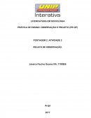 PRÁTICA DE ENSINO: OBSERVAÇÃO E PROJETO