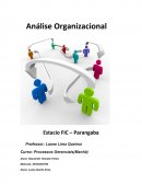 A Análise Organizacional