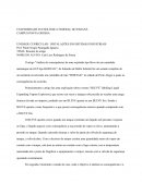 Resenha sobre - "Análise de consequências de uma explosão tipo bleve de um caminhão autotanque do GLP tipo BOBTAIL"