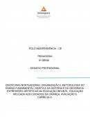 DISCIPLINAS NORTEADORAS: ORGANIZAÇÃO E METODOLOGIA DO ENSINO FUNDAMENTAL