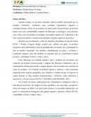 Paper sobre: Avaliação sobre os produtos brasileiros