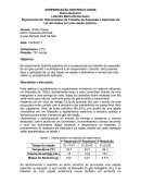 Determinação do Trabalho de Expansão e Aplicação da Lei dos Gases em uma reação química.