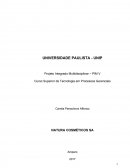 Pim III - Processos Gerenciais Unip