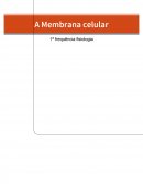 A Membrana Celular