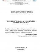 O MUNDO DO TRABALHO NA FORMAÇÃO DOS JOVENS E ADULTOS (EJA)