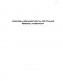 A SÍNDROME DA ALIENAÇÃO PARENTAL: IDENTIFICAÇÃO, ASPECTOS E CONSEQUÊNCIA