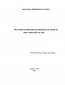 RELATÓRIO DO PROCESSO DE PRODUÇÃO DE CHAPA DE MDP E PRODUÇÃO DE OSB
