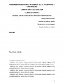 O Ativismo Judicial nos dias atuais: democracia e direitos sociais