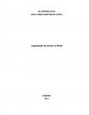 A Legalização de armas no Brasil