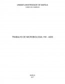 TRABALHO DE MICROBIOLOGIA: HIV - AIDS