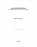 PLANEJAMENTO PEDAGÓGICO E GESTÃO DE CONTEÚDOS - MORFOLOGIA HUMANA 2