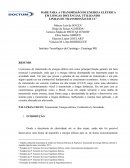 A VIABILIDADE PARA A TRANSMISSÃO DE ENERGIA ELÉTRICA EM LONGAS DISTÂNCIAS, UTILIZANDO LINHAS DE TRANSMISSÃO EM CC