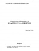 RELATÓRIO FINAL DE ESTÁGIO