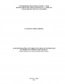 AS DEMONSTRAÇÕES CONTÁBEIS E SEU IMPACTO NO PROCESSO DECISÓRIO DAS EMPRESAS BRASILEIRAS Estudo realizado sob a ótica da literatura atual existente.