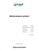 O Melhoramento Animal