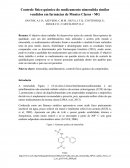 O Controle físico químico da nimesulida