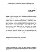 A BRINQUEDOTECA: ESPAÇO PARA BRINCARA PRENDER E CRIAR