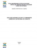 A EVOLUÇÃO HISTÓRICA DA SAN E O COMPONENTE ALIMENTAR E NUTRICIONAL DO CONCEITO