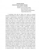 Os Aspectos anatômicos e citológicos do sistema nervoso durante o aprendizado motor