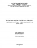 A IDENTIFICAÇÃO E PREVENÇÃO DE RISCOS NO AMBIENTE DE TRABALHO DE UMA EMPRESA: UM ESTUDO DE CASO EM UMA METALURGICA