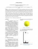 Relatório Experimental de física 1 - Colisões
