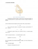 O Pêndulo Físico