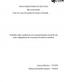 Análise de um comportamento atual de um setor oligopolista da economia brasileira: bebidas