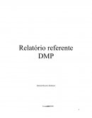 Relatório Referente DMP