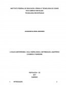 A ÁGUA SUBTERRÂNEA: CICLO HIDROLÓGICO, DISTRIBUIÇÃO, AQUÍFEROS E SUBSOLO CEARENSE