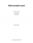 A Existência de hierarquias sociais influencia a diferenciação social numa dimensão universal