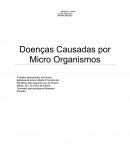 As Doenças Causadas por Micro Organismos